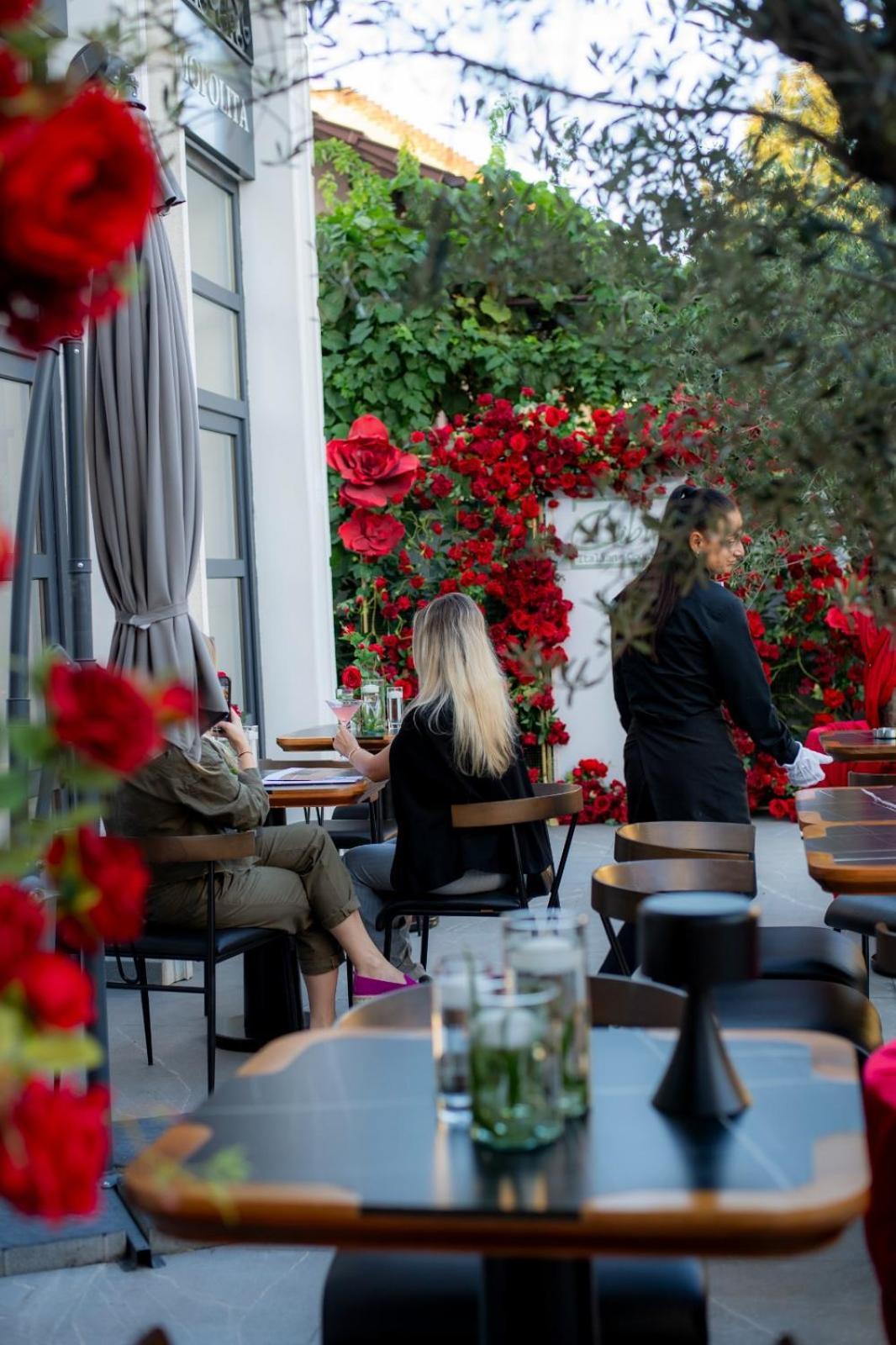 Cosmopolita Boutique Hotel Timişoara Eksteriør billede